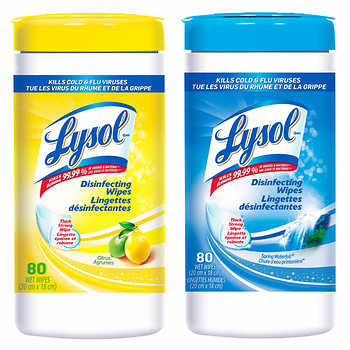 Disinfecting Wipes 80 Wet Wipes x 1 Can