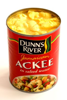 Dunn's River Ackee 540g x 1 Can