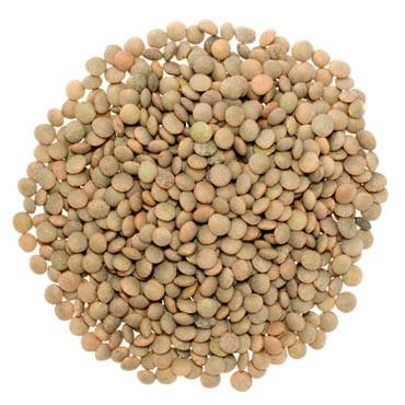 Brown Lentils (Masoor) 55 Lbs