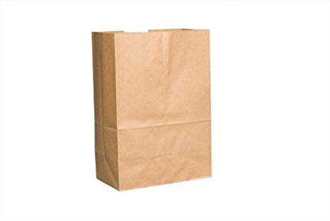 5 Lb Kraft Grocery Paper Bag (5 1/4" x 3 3/8" x 10 13/16") 500 / Bundle