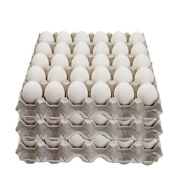 X-Large Eggs 15 Dozen