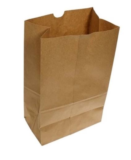 DD50 9x6x161/2 Brown Bags