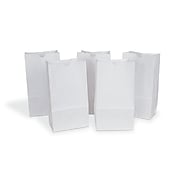 1 Lb White Grocery Paper Bag (4 1/8" x 2 1/2" x 8 1/8") 500 / Bundle