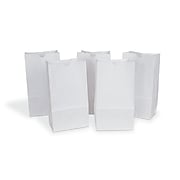 2 Lb White Grocery Paper Bag (4 1/8" x 2 1/2" x 8 1/8") 500 / Bundle