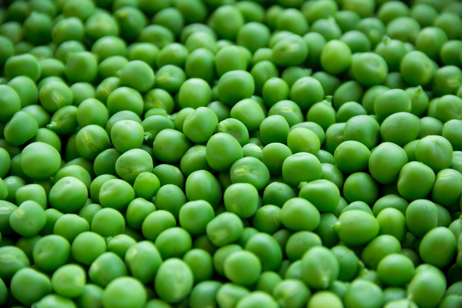 Peas Frozen 1.75 Kg x 6 Bags